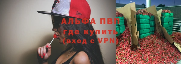 стаф Беломорск